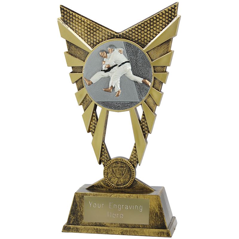 Valiant Judo Trophy Gold 23cm (9”)