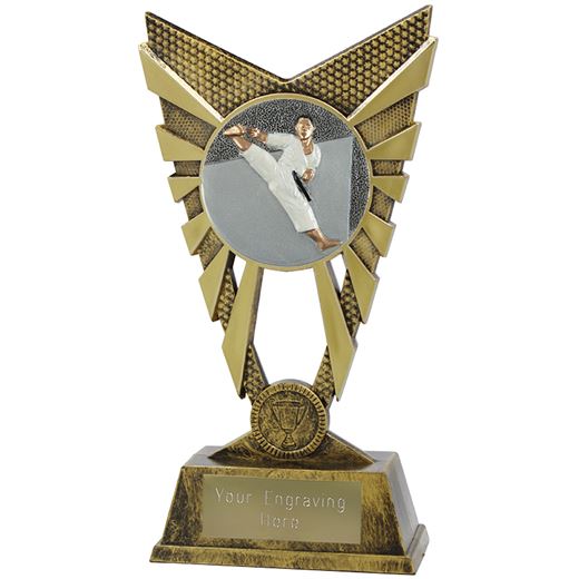 Valiant Karate Trophy Gold 23cm (9")