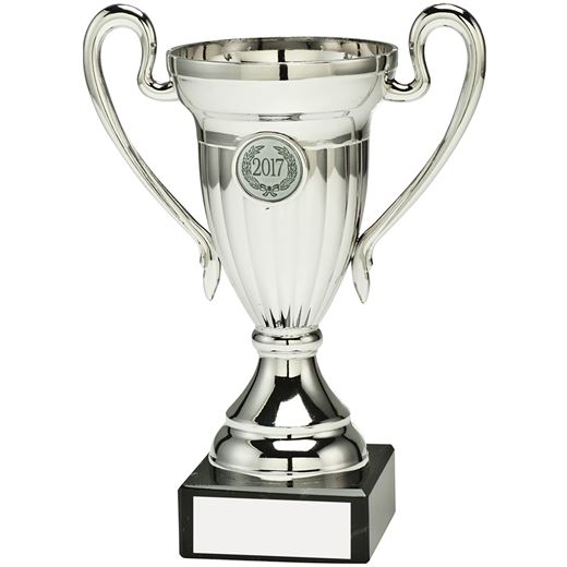 Silver Plastic Mini Trophy Cup With Handles 20.5cm (8")