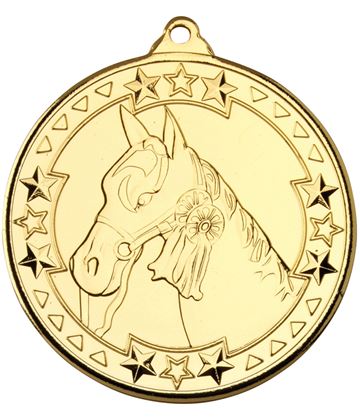 Equestrian Medals and Horse Riding Medals | Trophy Store