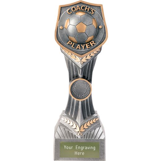 Football Coach's Player Falcon Trophy 22cm (8.75")