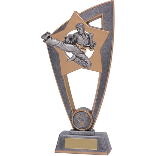 Karate Star Blast Trophy 20cm (8")