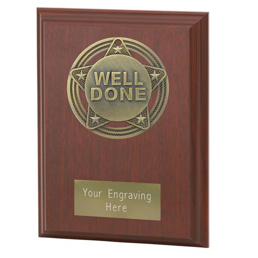 Well Done Plaque Award by Infinity Stars 12.5cm (5")