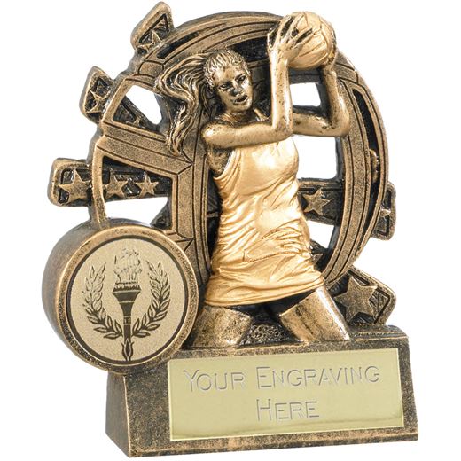 Netball Trophy with Stars Background 9cm (3.5")