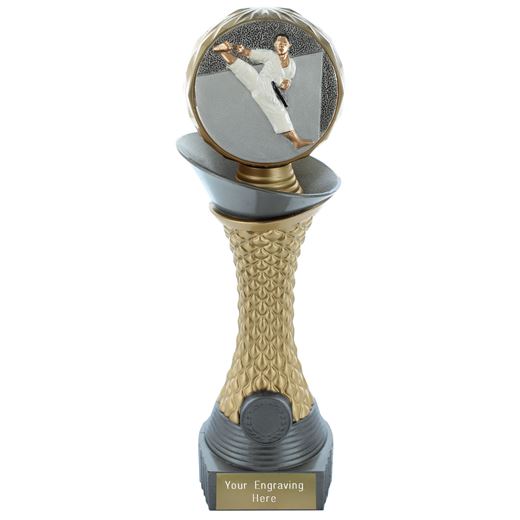 Karate Trophy Heavyweight Hemisphere Tower Silver & Gold 25cm (10")