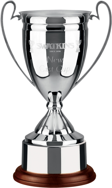 Nickel-Plated Cast Presentation Achievement Cup FREE ENGRAVING 7 Sizes Rugby 