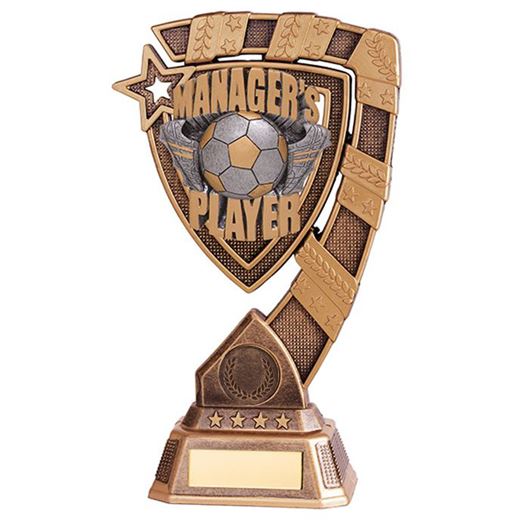 Euphoria Managers Player Football Trophy 21cm (8.25")