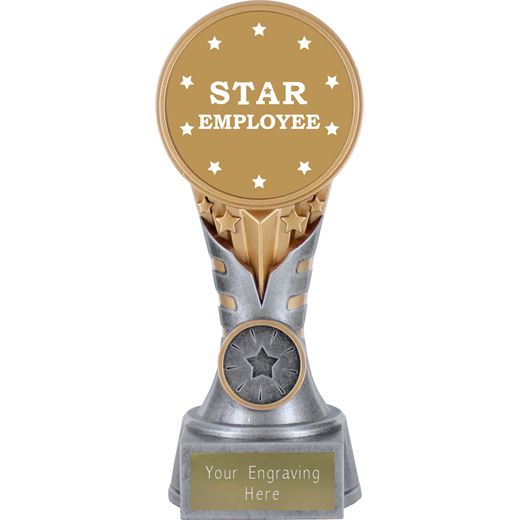 Star Employee Trophy iKon Antique Silver & Gold 17.5cm (6.75")