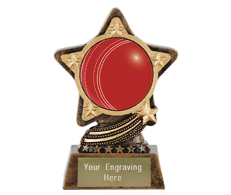 Kids' Cricket Trophies