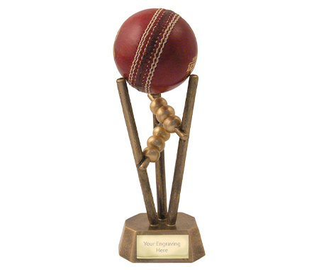 Cricket Ball Holder Trophies
