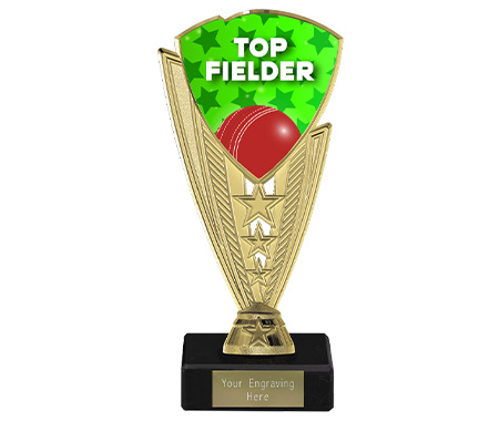 Cricket Fielder Trophies