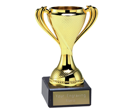 Blue & Silver Presentation Cup Trophy With Free Engraving For All Sports