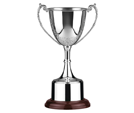 Sports Trophy Cups